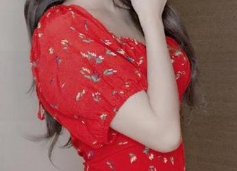一千只猫薄禾全集，阿洛娜档案下载指南：小心，后果自负！