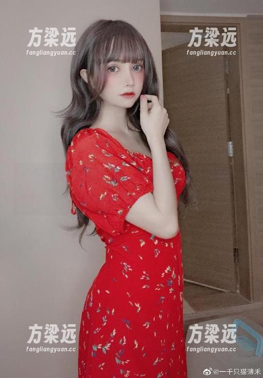 一千只猫薄禾全集，阿洛娜档案下载指南：小心，后果自负！