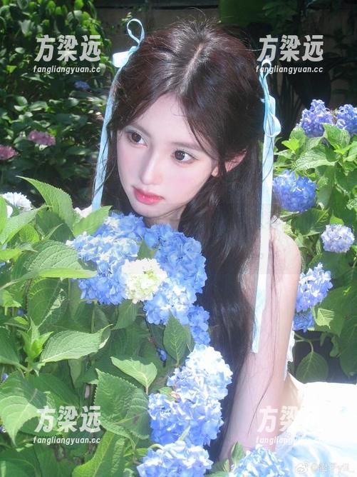 怡子yiii 怡子yiii的樱花限定,图包就像春天的诱惑,让算不算好想下载。