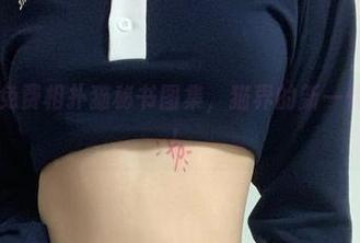 微密圈 – 免费相扑猫秘书图集，猫界的新一代职场风云！