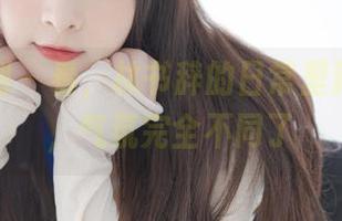 紧急企划 – 看，林书辞的日常里藏着美图，气氛完全不同了